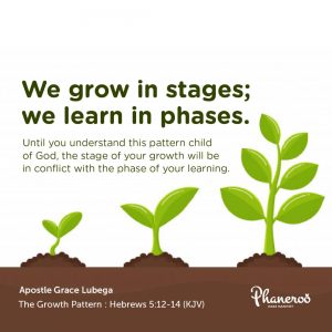 The Growth Pattern