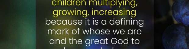 Glorifying The Father With Fruit
