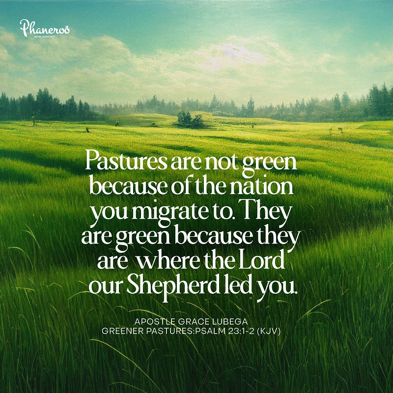 Greener Pastures Phaneroo