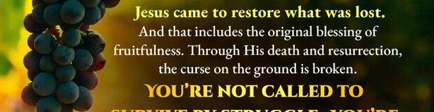 Restored To Fruitfulness