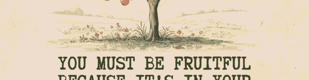 You Must Be Fruitful – 1