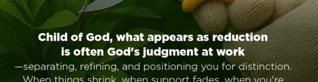 Discerning The Judgements Of God