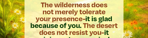 The Wildernesses And Deserts Will Rejoice Because Of You